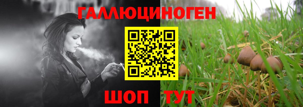 Чапаевск  Псилоцибиновые грибы MAGIC MUSHROOMS  Вход с VPN  Псилоцибиновые грибы Cubensis 